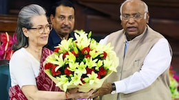 Mahatma Gandhi's Legacy "Under Threat": Sonia Gandhi Attacks BJP, RSS