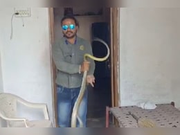 खुद को ठंडा करने के लिए फ्रिज में घुसा सांप ,डिस्टर्ब करने पर सर उठाकर लगा फुफकारने