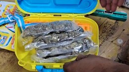 Custom Officials Open Toy Lunch Box, Find Drugs Worth Over Rs 1 Crore