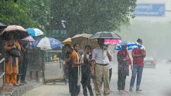 MP weather: मध्य प्रदेश में आज भी बरसेंगे बादल, 5 जुलाई तक आंधी के साथ तेज  बारिश के आसार; IMD का अलर्ट जारी | weather Clouds will rain even today  chances of