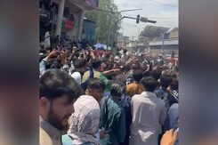 Afghanistan Celebrates Historic T20 World Cup Semifinal Berth Afghanistan Celebrates Historic T20 World Cup Semifinal Berth