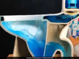 Viral Video Shows How Far Germs Travel When Flushing Toilet Viral Video Shows How Far Germs Travel When Flushing Toilet