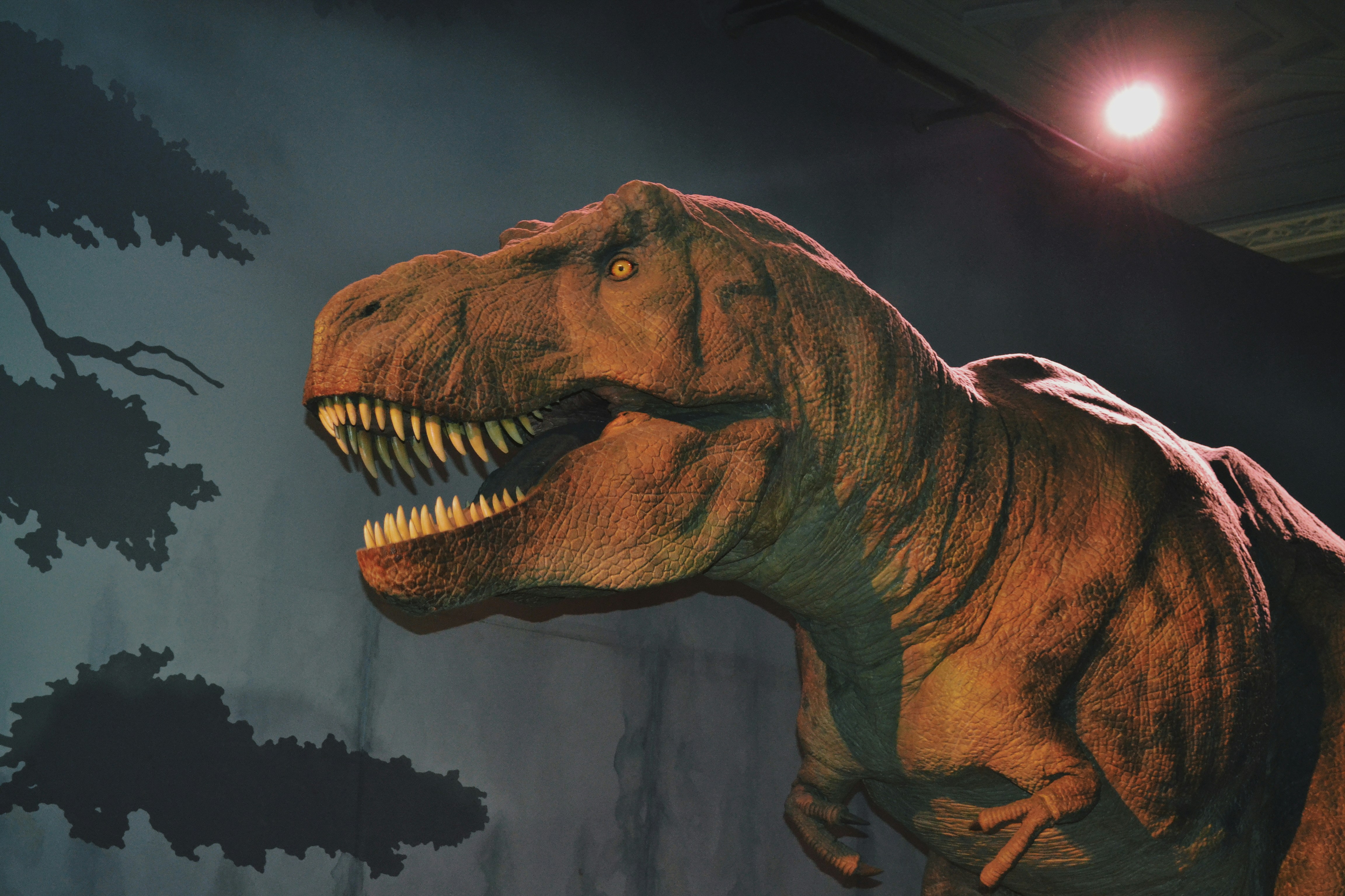 Physicist Discovers Preserved Blood Vessels In World's Largest T. Rex
