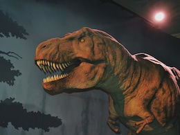 3 US School Children Discover Rare T. Rex Fossil: ''My Friends Don't Believe Me'' 3 US School Children Discover Rare T. Rex Fossil: ''My Friends Don't Believe Me''