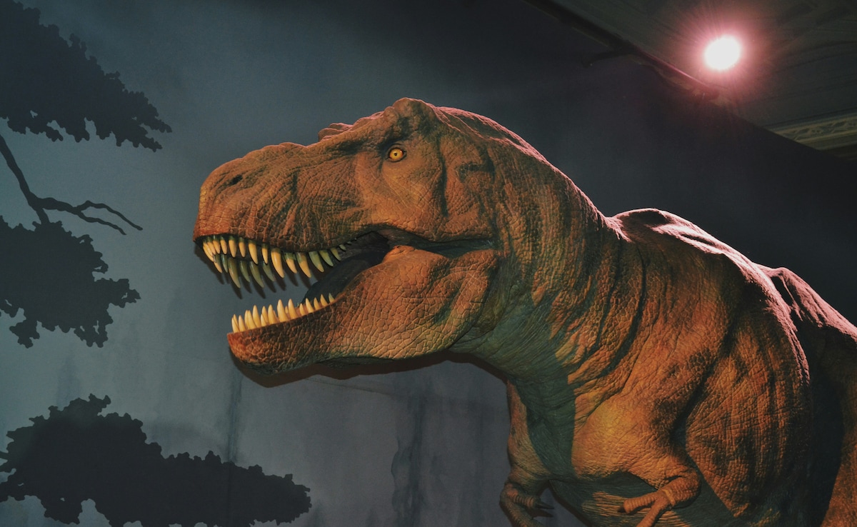 Physicist Discovers Preserved Blood Vessels In World's Largest T. Rex