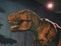 Physicist Discovers Preserved Blood Vessels In World&#039;s Largest T. Rex