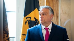 Concerns Mount As Hungary Assumes EU Presidency Under PM Orban