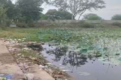 कोरिया: लाखों रुपये खर्च कर बने तालाबों में गंदगी का अंबार कोरिया: लाखों रुपये खर्च कर बने तालाबों में गंदगी का अंबार