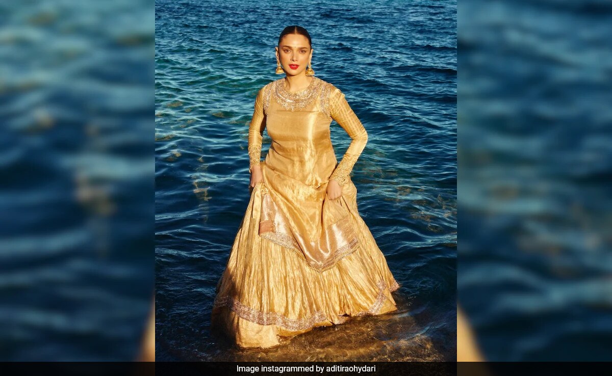 Cannes 2024: Aditi Rao Hydari's First Appearance Had A Bibbojaan Connection