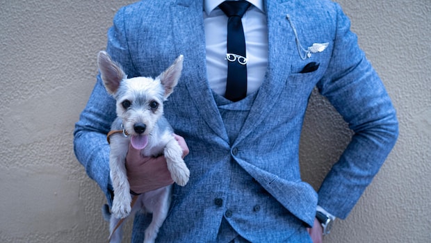 How To Choose Right Suit For Any Occasion