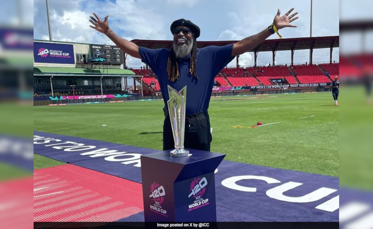 T20 WC 2026 के रोमांच में लगेगा चार चांद, मैदान पर लौट रहे हैं ये दो स्टार खिलाड़ी!