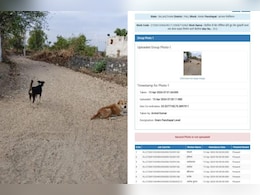 राजस्थान में कुत्ते बन गए मनरेगा मजदूर, तस्वीर वायरल हुई तो हरकत में आए अधिकारी