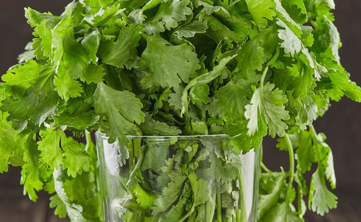 Add image caption here Add image caption here