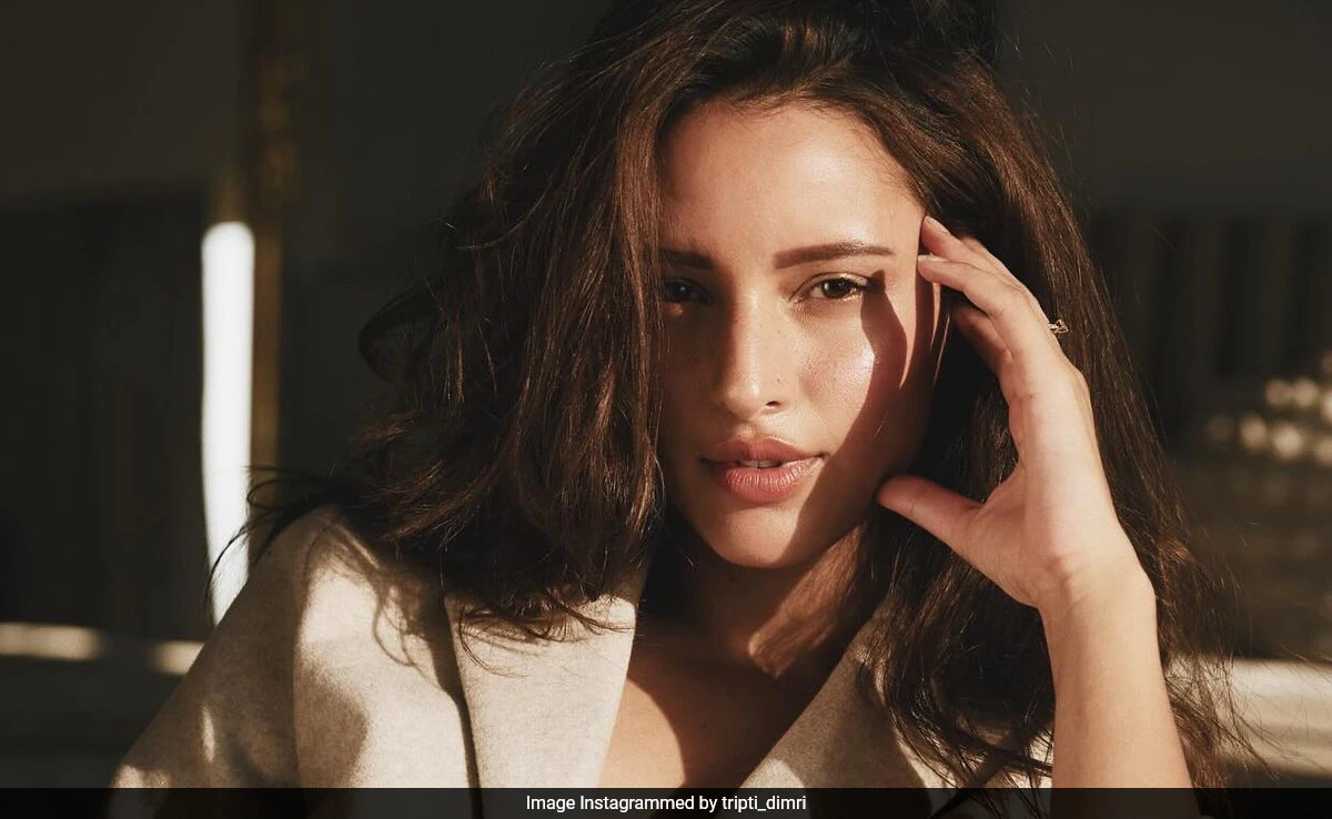 Triptii Dimri On Being Referred To As "National Crush" Following <i>Animal's</i> Success: "Have Been Very Fortunate"