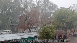 Monsoon Arrived: मध्य प्रदेश और छत्तीसगढ़ में झमाझम बारिश, धूप से झुलसे चेहरों पर खिली मुस्कान