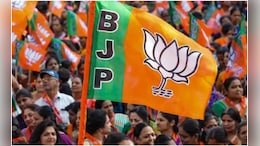 भाजपमध्ये मोठे फेरबदल होणार? लोकसभेतील पराभवाचा कुणाला फटका बसणार?