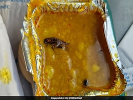 Cockroach Found In Meal Served In Vande Bharat Train, IRCTC Responds Cockroach Found In Meal Served In Vande Bharat Train, IRCTC Responds