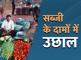 लोकल उत्पादन में आई कमी, ट्रांसपोर्टिंग का खर्चा बढ़ने से सब्जी के दामों में आया उछाल, जानें क्या हैं भाव ? 
