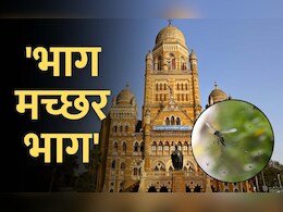 'भाग मच्छर भाग' साठी बॉलीवूड कलाकारांची मदत घेणार, मराठी कलाकार आणि सेलिब्रिटीही सहाय्य करणार