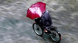 Monsoon 2025: MP में कब दस्तक देगा मानसून? किस जिले से होगी एंट्री, कितनी फीसदी बारिश की संभावना, यहां जानें