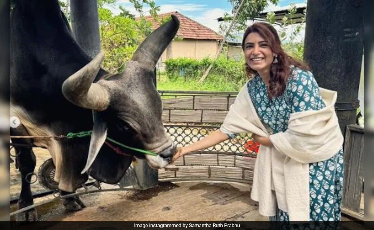 Inside Samantha Ruth Prabhu's Spiritual Retreat: "If You Want A Piece Of Wisdom..."