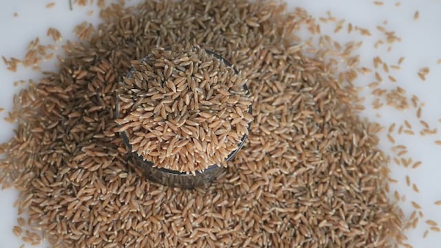 Khapli wheat contains higher levels of antioxidants, such as polyphenols