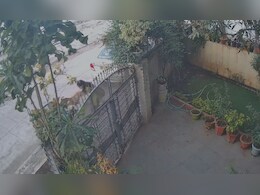 महाराष्ट्र के छत्रपति संभाजीनगर में राह चलती लड़की पर कुत्तों का हमला, वीडियो देख जाएंगे सिहर