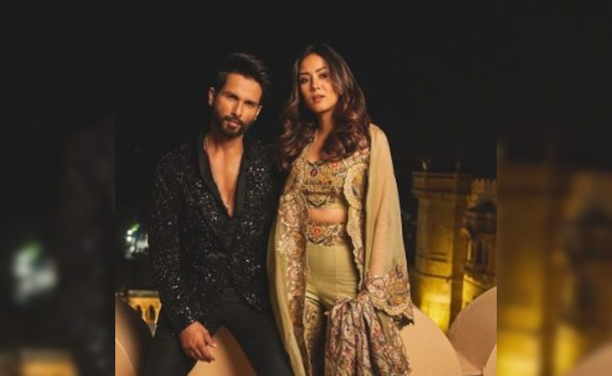 Mira Rajput Shares Harrowing Moment: "Almost Miscarried When I Was Four Months Pregnant"
