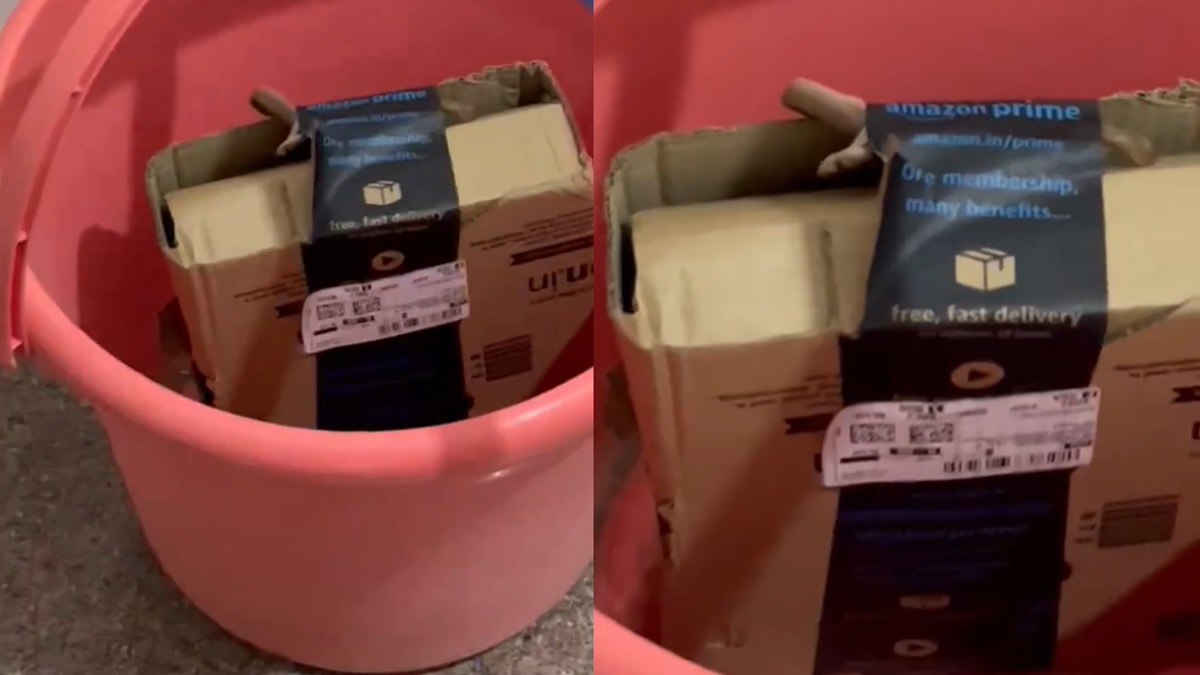 Live Snake To Human Finger: Bizarre Online Order Discoveries This Week