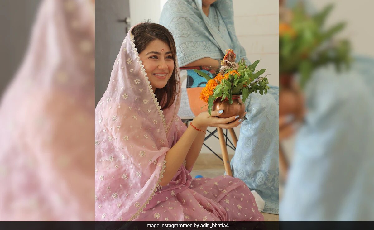 Inside <i>Yeh Hai Mohabbatein</i> Actress Aditi Bhatia's New House. See <i>Griha Pravesh</i> Pics