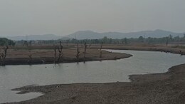 भ्रष्टाचार की इंतहा: करोड़ों रु. खर्च फिर भी पानी बना सपना, सालों बाद सिर्फ कागजों में ही सिंचाई..