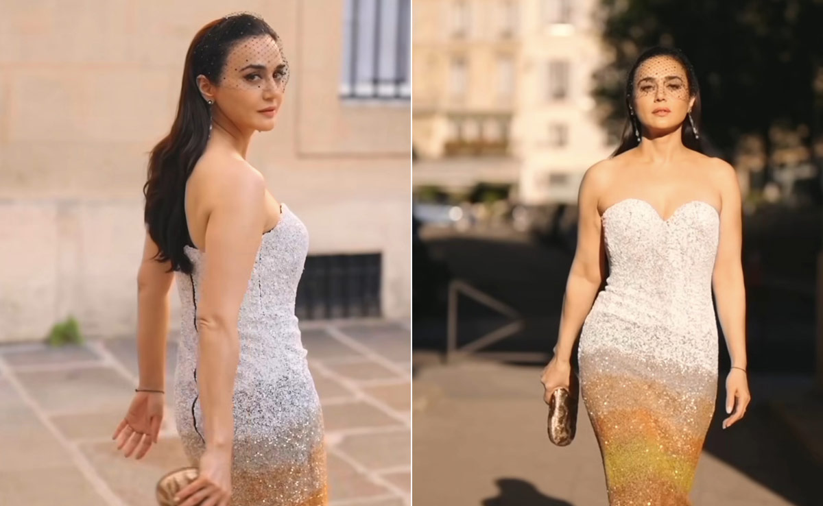 Preity Zinta's Ombre Rahul Mishra Gown Was Purely Made To Take Paris By Storm