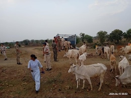 मध्य प्रदेश के मंडला में फ्रिज में गौमांस मिलने के बाद 11 लोगों के घर ढहाए गए मध्य प्रदेश के मंडला में फ्रिज में गौमांस मिलने के बाद 11 लोगों के घर ढहाए गए
