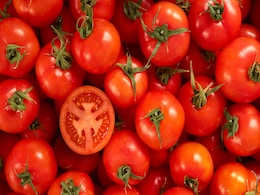 Tomatoes To Be Sold At Subsidised Rate Of ₹ 60/Kg In Delhi, Nearby Areas From Monday Tomatoes To Be Sold At Subsidised Rate Of ₹ 60/Kg In Delhi, Nearby Areas From Monday