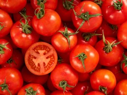 Desi vs Hybrid Tomatoes: What Are The Key Differences?
