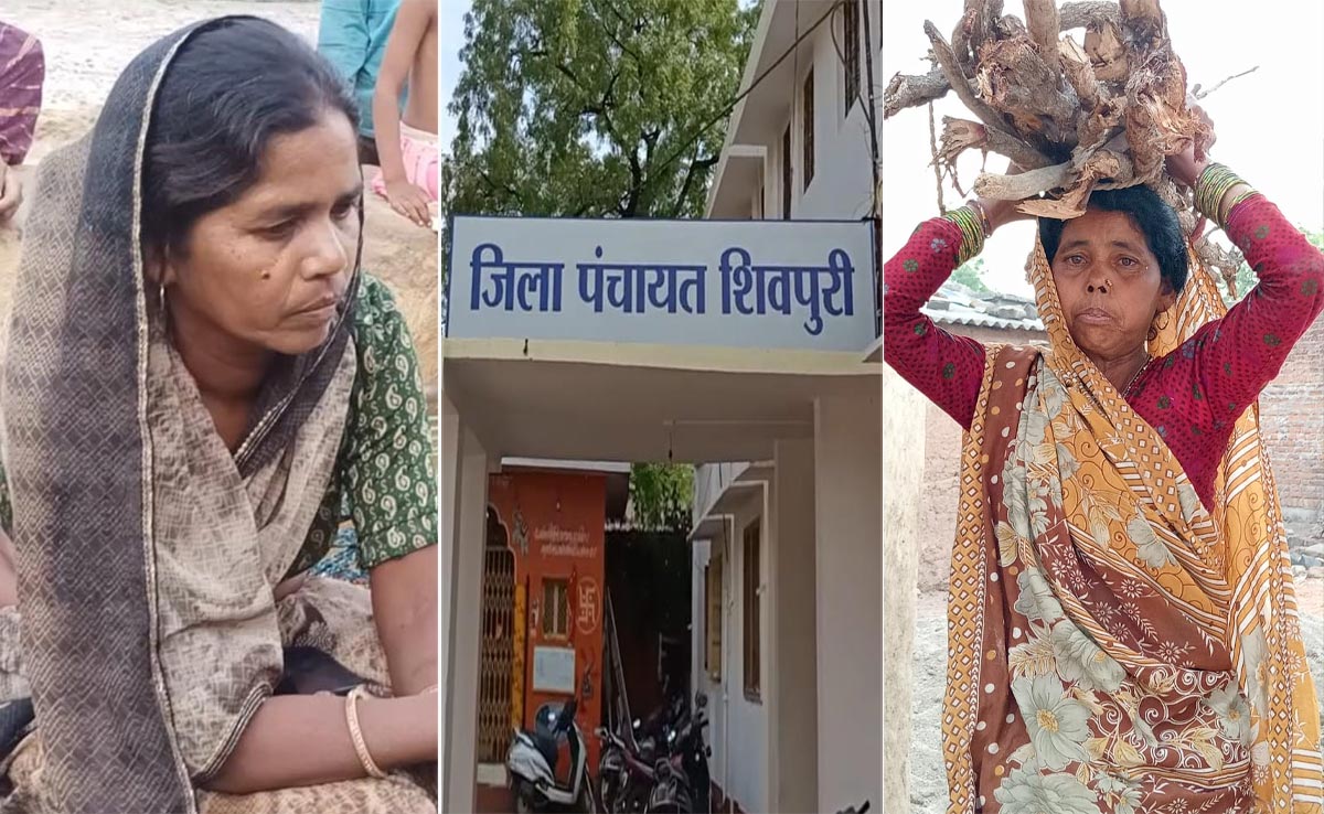 Madhya Pradesh Women Sarpanches Are Mere Figureheads? A Reality Check