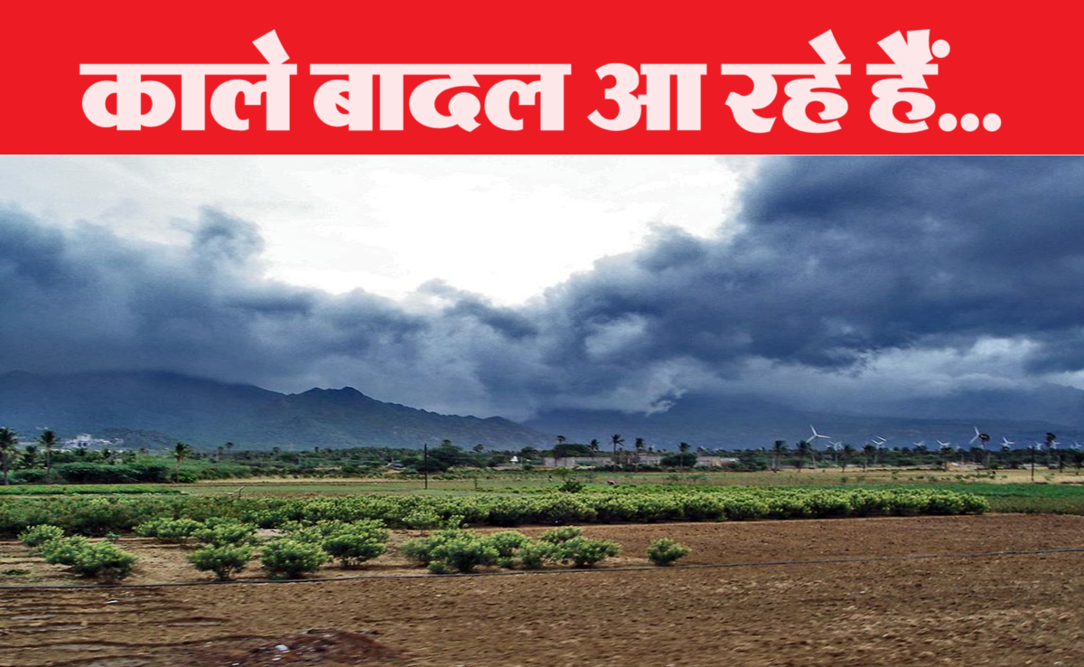 MP Monsoon Update: खुशखबरी! मौसम विभाग का ऐलान, 15 जून तक मध्य प्रदेश पहुंचेगा दक्षिण-पश्चिम मानसून