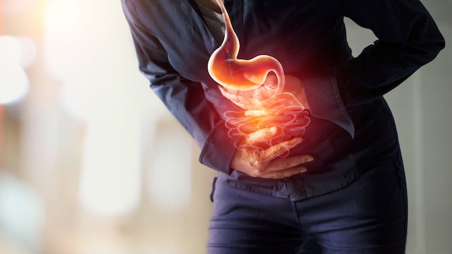 Gut Health: Is It Your Second Brain?