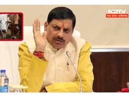 गोहत्या पर MP सरकार की नजर ! एक महीने में बचाईं 7 हजार गाय - CM यादव