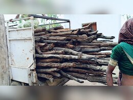 CG News: इस वन परिक्षेत्र में बड़े पैमाने पर चल रहा है गोलमाल, बिना नीलामी के खपा दी गईं लाखों रुपये की लकड़ियां CG News: इस वन परिक्षेत्र में बड़े पैमाने पर चल रहा है गोलमाल, बिना नीलामी के खपा दी गईं लाखों रुपये की लकड़ियां