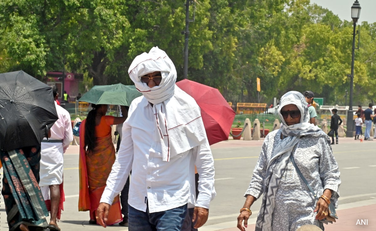 Delhi Records Hottest Day Of Year At 42.8 Degrees, Yellow Alert Issued