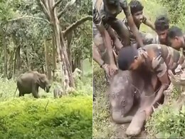 नहर में फंस गया था हाथी का बच्चा, परेशान थी मां, वन अधिकारियों ने पता चलते ही किया रेस्क्यू, फिर दोनों को ऐसे मिलाया नहर में फंस गया था हाथी का बच्चा, परेशान थी मां, वन अधिकारियों ने पता चलते ही किया रेस्क्यू, फिर दोनों को ऐसे मिलाया