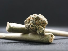 US State Governor Pardons Over 175,000 Low-Level Marijuana Convictions US State Governor Pardons Over 175,000 Low-Level Marijuana Convictions