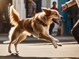 खंडवा: सफाई करने जा रहे सफाईकर्मी को मालिक ने अपने कुत्ते से कटवाया, FIR हुआ दर्ज