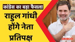 Rahul Gandhi News: लोकसभा में राहुल गांधी होंगे नेता प्रतिपक्ष, जानिए- क्यों पीएम मोदी को अब कांग्रेस नेता से लेना पड़ेगा मशविरा
