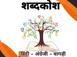Rajasthan- पहली स्थानीय भाषा वागड़ी का तैयार हुआ शब्दकोश, हवाई जहाज को 'पांजरू' और बॉल को 'डूटी' पढ़ेंगे छात्र