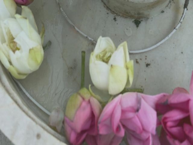 Lok Sabha Election Results: Bhopal BJP Headquarter में 400 कमल खिलाने की हो रही तैयारी