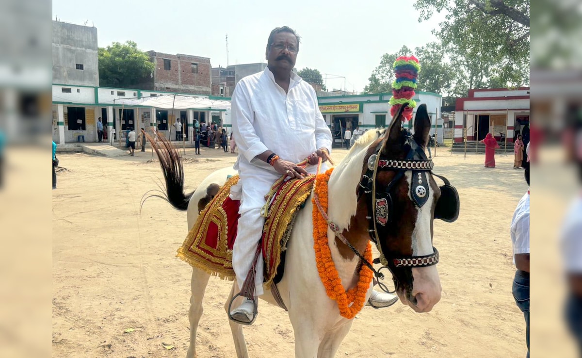 कुशीनगर में घोड़े पर सवार मतदाता. कुशीनगर में घोड़े पर सवार मतदाता.