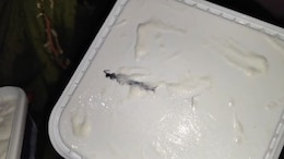 Amul Seeks Return Of Ice Cream Tub After Customer Finds Centipede In It