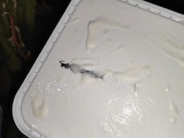 Amul Seeks Return Of Ice Cream Tub After Customer Finds Centipede In It Amul Seeks Return Of Ice Cream Tub After Customer Finds Centipede In It